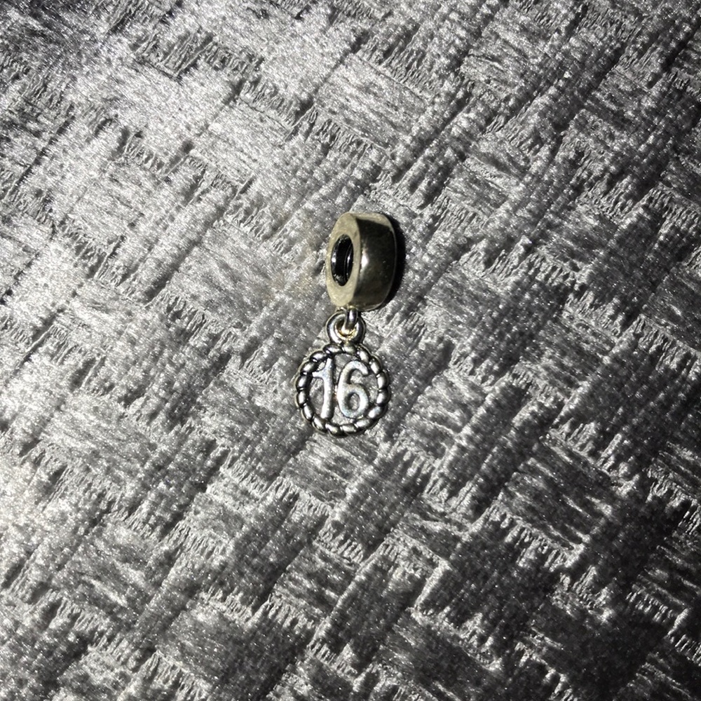 16 Pandora Charm